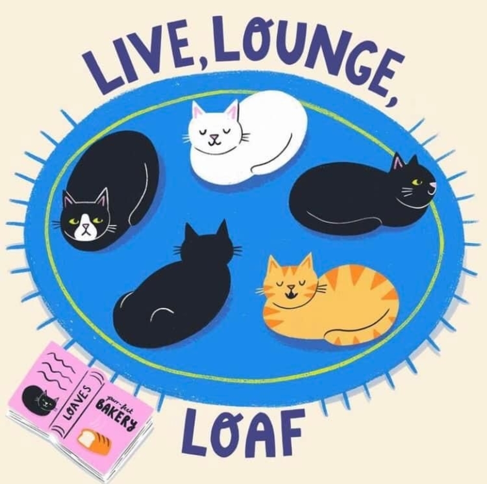 Meet your Posher, Nancy